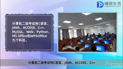 计算机等级考试一二三四级与专业方向的差异分析